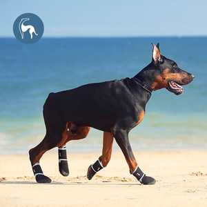 <span class=keywords><strong>Chaussette</strong></span> de chaussures imperméable pour chien avec protection anti-dérapante des pattes Chaussettes de marche en plein air Tampons solides Chaussures jetables pour animaux de compagnie pour chiens - Product Image 3