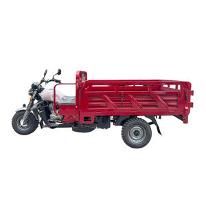 Tricycle à trois roues de 150 cm3 à forte capacité de charge pour le marché africain - Product Image 4