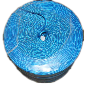 Nhà Máy Giá 2Mm 6Mm Nhựa <span class=keywords><strong>Hay</strong></span> Baler Dây PP Phim Chủ Đề Xoắn <span class=keywords><strong>Polypropylene</strong></span> PP Chia Phim Dây Sợi Dây Thừng - Product Image 2