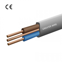 BS6004 Kupfer PVC-Isoliertes Graues Erdungskabel 1mm 1,5mm 2,5mm 4mm Doppel-Erdungskabel für Bau-Kabelkanäle
