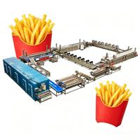 Volledig Automatische Patat Fries Friteuse Machine/Productielijn 2000KG/H Capaciteit Voedselveilige RVS