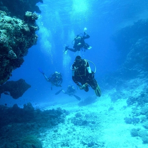 Đèn pin lặn ánh sáng vàng 3000K 3 đèn LED Đèn lặn chuyên nghiệp Tỷ lệ chống nước cao nhất Đèn pin IP68 dưới nước 50-80m - Product Image 5