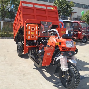Tricycle motorisé à essence YAOLON <span class=keywords><strong>250cc</strong></span> 300cc pour livraison lourde, moto cargo à trois roues - Product Image 2