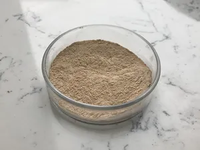 Poudre de probiotiques d'additif alimentaire Bacillus coagulans lyophilisés de qualité alimentaire