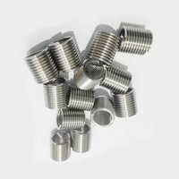 Manufacturer-Supplied Fasteners Stainless Steel Wire Thread Insert Screw Type 304 Alloy Material Nut Wood Zinc Carton Size