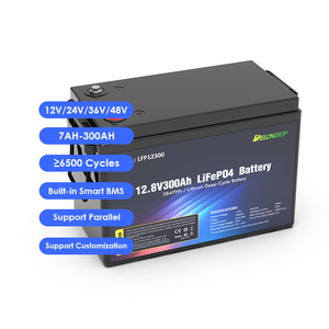 Delong Wholesale Solar - Paquetes de Baterías de Iones de Litio de 12 V y 300 Ah para el Hogar, Batería de 12,8 V y 300 Ah, LFP12200, Batería de 12 V y 300 Ah - Product Image 5