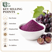Poudre de raisin de haute qualité Lvlai Bio Manufacturer, vente en gros, poudre de jus de raisin pour boissons