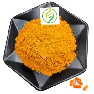 Wholesale Bulk CAS 303-98-0 98% Q10 Coenzyme Powder Ubiquinol Coq10 Coenzyme Q10