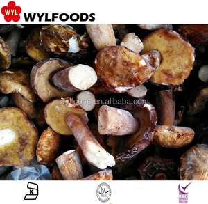 Boletus <span class=keywords><strong>Edulis</strong></span> Orgánico de Alta Calidad, Entero, de Origen Silvestre, Delicia Culinaria, IQF Congelado - Product Image 5