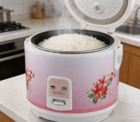 Autocuiseur de riz électrique intelligent à commande numérique automatique, avec boîtier en fer, cuisson rapide, tasse doseuse, vente en gros directe usine