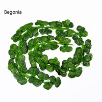 Vevor — fausses vignes imprimées avec écran, vente en gros, 2m, plantes décoratives artificielles, pastèque, raisin, lierre, Scindapsus dorées