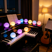 Lampe LED décorative en forme de boule avec télécommande, changement de couleur, étanche IP65, pour intérieur et extérieur, idéale pour les festivals et la décoration quotidienne.