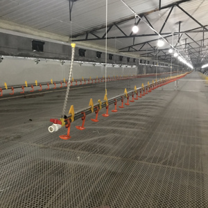 Máquina integrada de alimentación de agua para cría de patos, equipo de alimentación automática para patos, instalación de línea de alimentación para granja de patos - Product Image 6