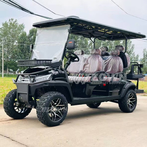 Voiturette de golf électrique — Équipée d'un moteur de 5 kW, conçue spécifiquement pour l'entretien des terrains de golf et les opérations d'aménagement paysager - Product Image 5