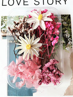 Fleurs séchées mélangées en gros Mini eucalyptus naturel multicolore en vrac matériaux séchés petit paquet fleur séchée déco