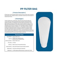Filtre de taille personnalisée PP/PE/Nmo/PTFE Feutre à aiguille 5um 10um Micron Feutre liquide Sac filtrant