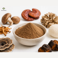 Extrait de complexe de superaliments en poudre de champignons, mélange multi-champignons, complément alimentaire, soutien immunitaire quotidien, bien-être global