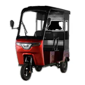 New Design Hot Sale Water Proof Electric Mobility Scooter Pedicab with Roof and 2 Passenger Seats for Adult Made in China
