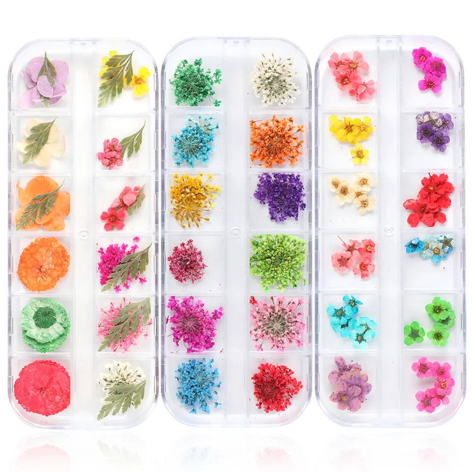 Small Dried Resin Little Pressed Real Natural Flower 6 Design 12Grids/Sets 3D Nail Art Design Decoration Stickers Supplies