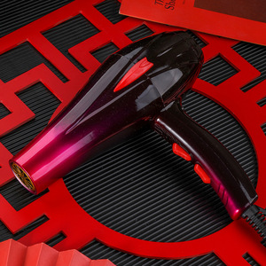 Hair Dryer High Power Dc Motor 110V European Standard Round Plug Quick Drying For Hotel Export - Product Image 1