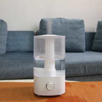 Humidificateur portable diffuseur arôme huile essentielle 4L humidificateur végétal