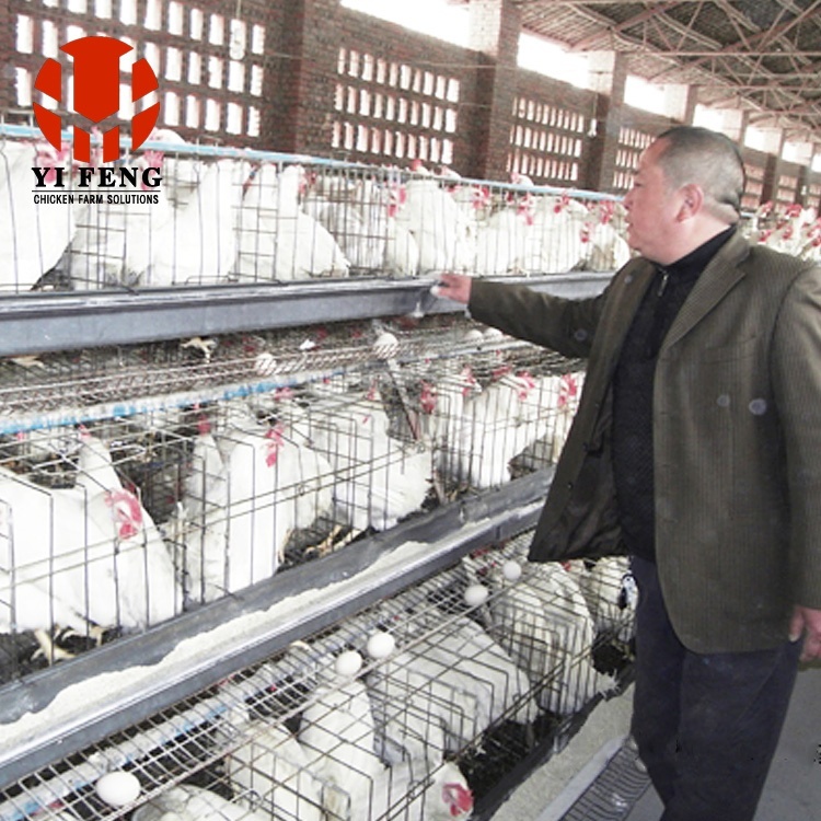 Poultry Cages for Layer Chickens Automatic