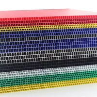 Feuille de Corflute ondulée en PP Protection de sol Protection de surface Plaque en plastique PP ignifuge imperméable Poly Coroplast Panneau creux