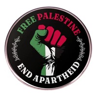 Insignia de Palestina Libertad Bandera de Palestina Detener la guerra Pin Bandera Mapa de la paz mundial Hebilla Esmalte Pin de solapa