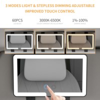 Miroir de maquillage de vanité de fournisseur de femme de contrôle tactile portatif latéral avec des lumières de LED miroir de pare-soleil de voiture