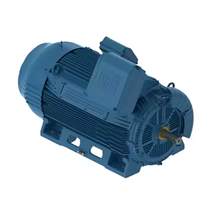 มอเตอร์อุตสาหกรรม AC แบบเสียงเบา WEG ซีรีส์ W50 ความถี่ 50Hz มอเตอร์สามเฟสแรงดันสูง มอเตอร์ AC แบบอะซิงโครนัส W50 รุ่นใหม่ WEG - Product Image 5