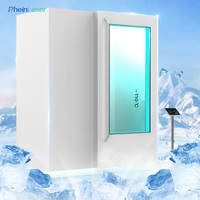 Chambre de cryothérapie électrique pour tout le corps, cryosauna pour réduire l'inflammation et la fatigue musculaire