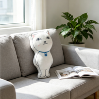 Coussin en peluche doux et irrégulier en forme de lapin et de chat, vente en gros, fabricant sur mesure, pour canapé, décoration intérieure, cadeaux