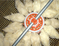 Nouveaux mangeoires automatiques de type cage Bangchi pour l'élevage de volailles (poulets, dindes) - Mangeoires électriques surélevées au sol, modèle 1 an de garantie