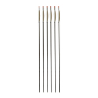 Flèches en fibre de carbone à module élevé avec ailettes en acier et plastique pour le tir à l'arc, la chasse et l'entraînement sur cible - Spine de précision adaptées
