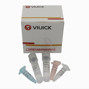 デングウイルス亜型凍結乾燥リアルタイムPCR診断キット（デング診断用）VIUICK CM-R-0102B - Product Image 4