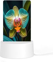 Lampe de nuit créative en acrylique avec impression 3D UV, lumière chaude, lampe de table LED pour la maison, idéal comme cadeau