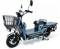 Moto électrique de fret robuste YT Factory Supply, moteur brushless 1000-2000W, 60V/72V, vitesse maximale 60-80km/h, capacité de charge 400kg