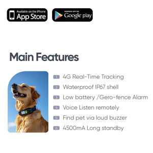 OEM y ODM Modo de protección inteligente Diseño Nuevo Dispositivo de entrenamiento de perros Comportamiento Insight <span class=keywords><strong>Collar</strong></span> Anti-ladrido para comportamiento y entrenamiento - Product Image 2