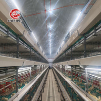 Équipement d'élevage de poulets automatique de type H/A Cages d'élevage de poulets de chair en batterie pour ferme avicole en nouvelle condition à vendre au Nigeria