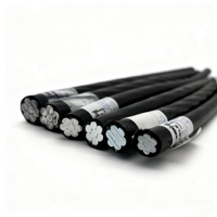 Cable ABC de 0.6/1KV, 2*16mm2, Conductor de Aluminio, Cable XLPE de Baja Tensión, 2 Hilos, IEC 60502, para Uso Aéreo, Transmisión, Industrial