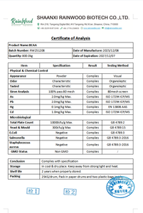 Rainwood BCAA en Polvo 99% Puro de Alta Calidad, Certificado Vegano, <span class=keywords><strong>Pre</strong></span>-Entrenamiento para el Crecimiento Muscular, Uso en Adultos - Product Image 2