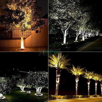 Longue durée de vie Led Flood CCT Température polychrome Chemin de pelouse Extérieur Spike Garden Spot Light YY-TG1D