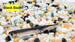 Bán Buôn 9.5Cm/2.7G Mustad Móc Câu Cá Thu Hút Thả Mồi 95Mm Mồi Câu Cá Mềm Minnow - Product Image 6