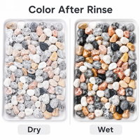 Galets décoratifs minimalistes de couleurs mélangées naturelles pour l'aménagement paysager, les aquariums, la décoration de la maison - Durables et écologiques