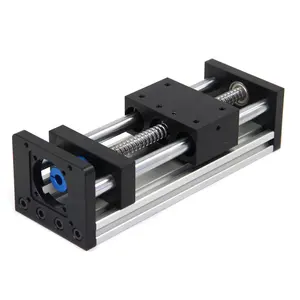 100mm Lunghezza Effettiva modo Ferroviario CNC Doppio Asse Ottico Vite A Sfere Scorrevole Linear Motion Guida Modulo Per Incisione