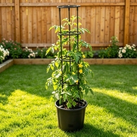 Jardinière en plastique à arrosage automatique, pots de fleurs auto-arrosants avec supports de croissance pour tomates
