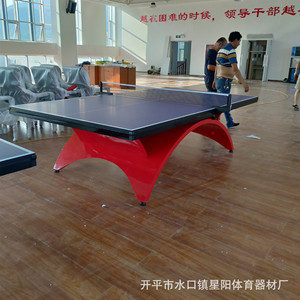 Mesa de ping-pong Big Rainbow de 25 mm de grosor, resistente para interiores, para casa, club, cancha y competición. - Product Image 3