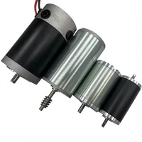 Moteur électrique CC à balais ou sans balais 12 24 Volt 36 48 Volt, moteur à engrenages CC 24V 12V, puissance 50 Watt 100 200 300 Watt 500 1000 Watt