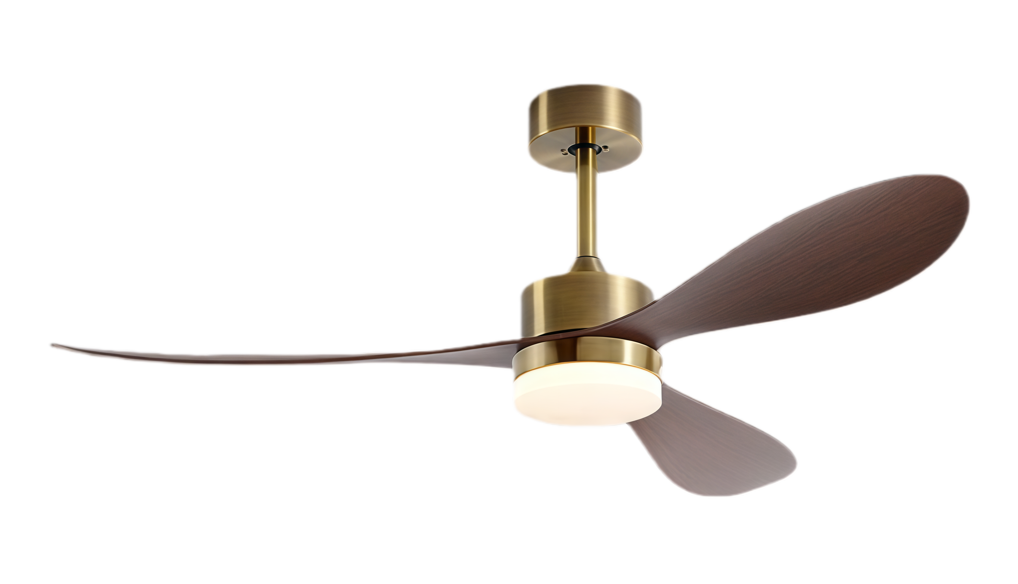 วอลนัทสีบรอนซ์