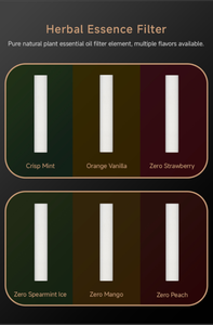 Sản phẩm thay thế nicotine có hương vị bạc hà, bộ lọc trái cây không chứa Tar, sản phẩm làm dịu cổ họng - Product Image 2